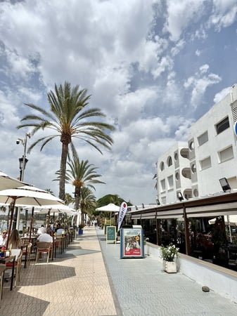 Apartment in San Pedro de Alcantara - view 1