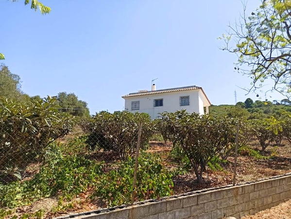 Apartment in Estepona - view 1