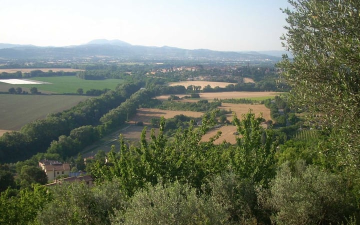 House in Cittadella - view 1