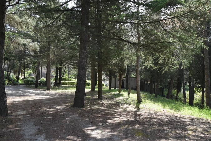 Land in Palaja - view 1