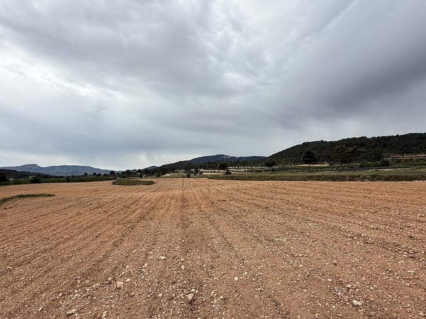 Land in Culebron - view 1