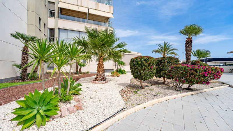 House in Los Dolses - view 1