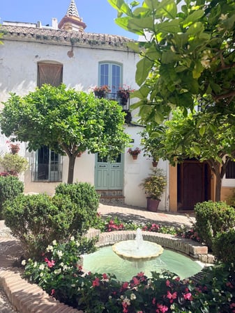 House in Estepona - view 1