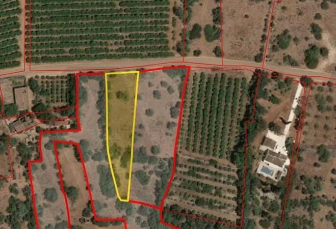 Land in Silves - view 1