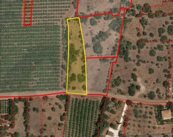 Land in Silves - view 1
