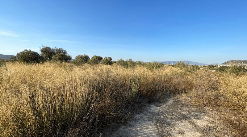Land in Murcia - view 1