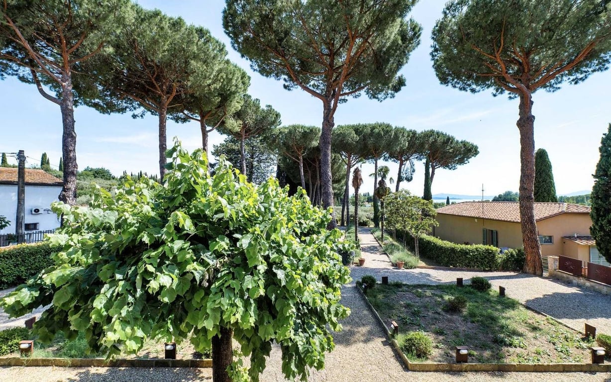 House in Passignano sul Trasimeno - Image 2