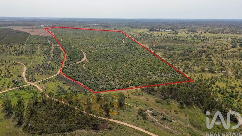 Land in Achete - view 1