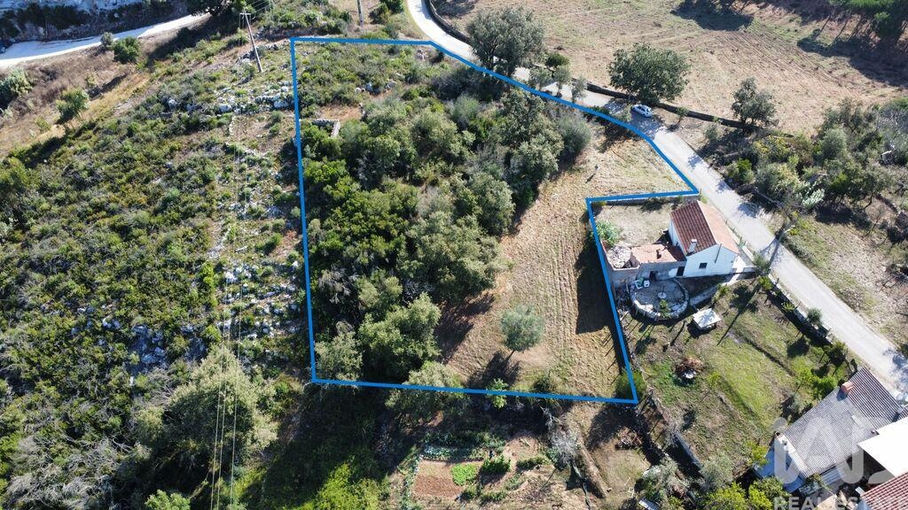 Land in Santiago da Guarda - Image 3