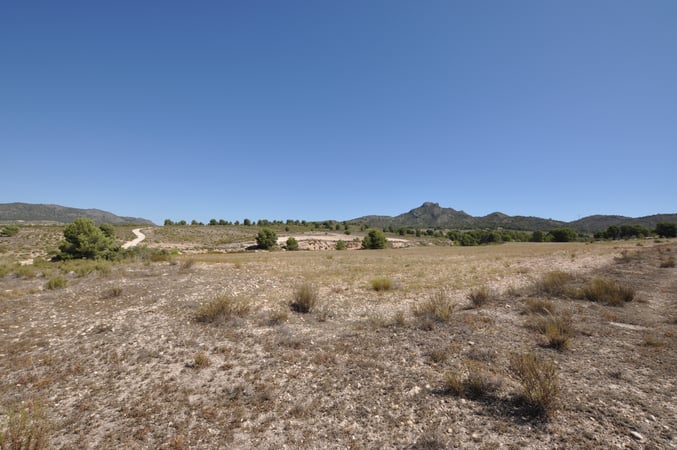Land in Salinas - view 1