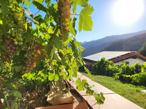 House in Genalguacil - view 1