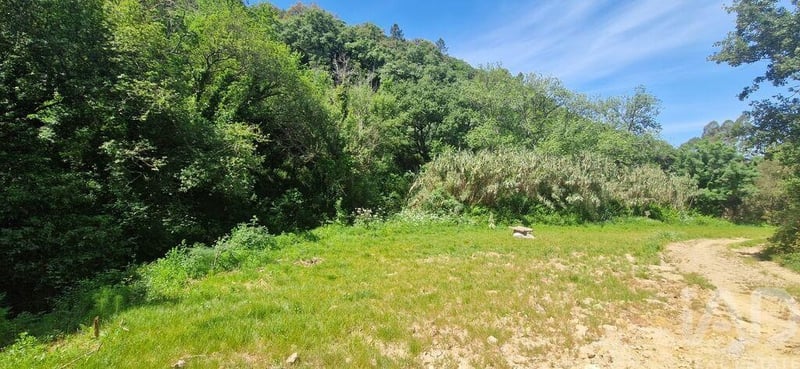 Land in Mafra - view 1