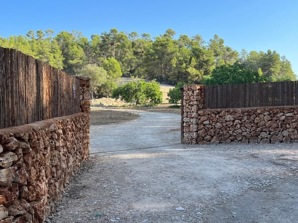 Land in Porreres - view 1