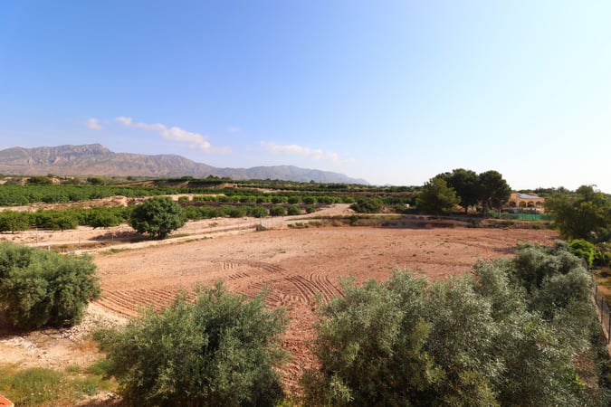 House in Albatera - view 1