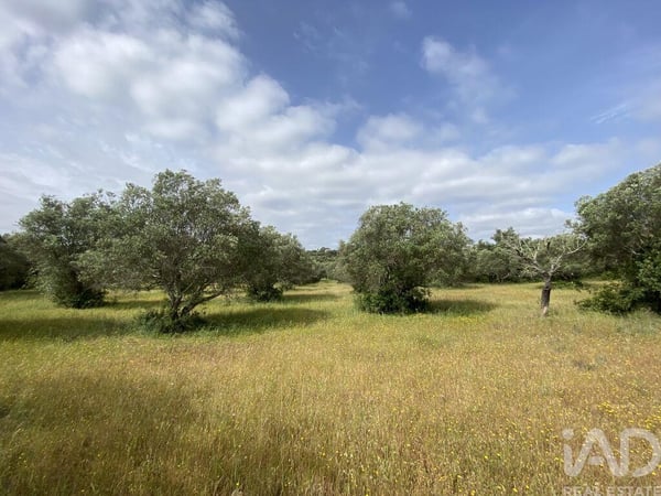 Land in Santa Barbara de Nexe - view 1