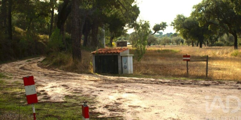 Land in Galveias - view 1