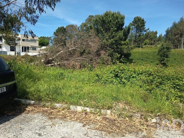 Land in Rio Maior - view 1