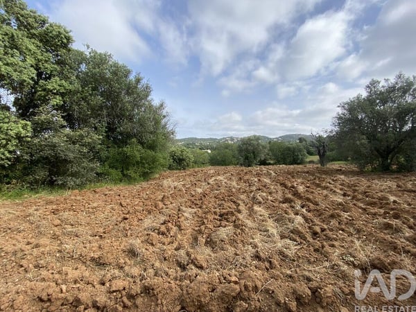 Land in Santa Barbara de Nexe - view 1