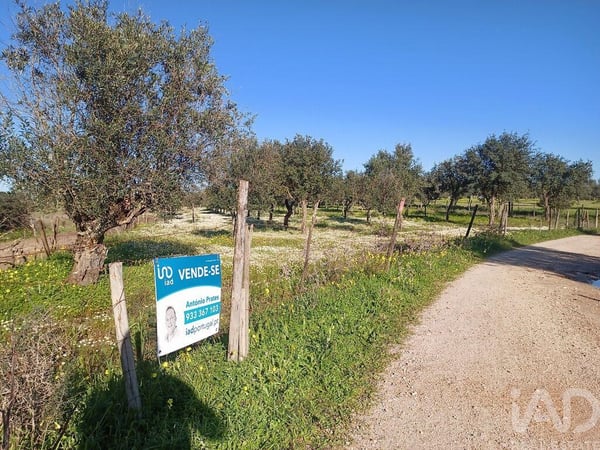 Land in Galveias - view 1