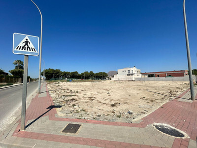 Land in Rafal - view 1