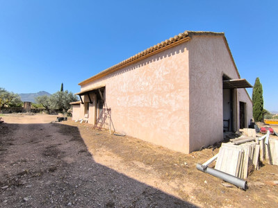 Farm, Ranch or Equestrian in Villena - Image 3