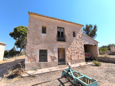 Farm, Ranch or Equestrian in Villena - Image 2