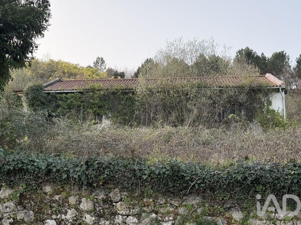House in Parada de Cunhos - view 1