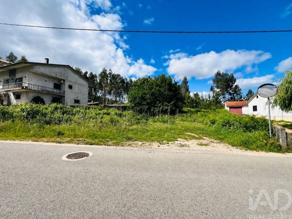 Land in Figueiro Dos Vinhos - view 1
