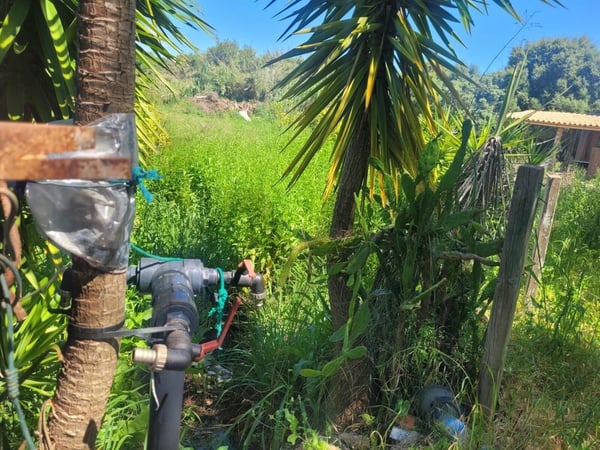 Land in Pedreira - view 1