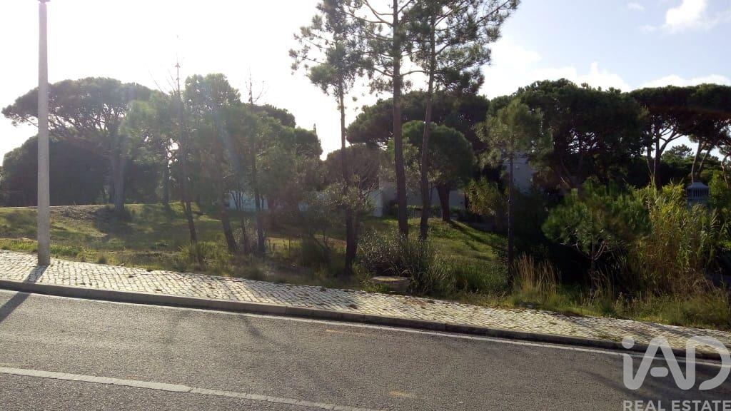Land in Almancil - Image 3