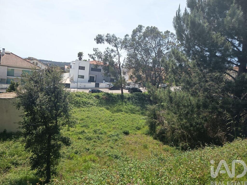Land in Rio Maior - Image 2