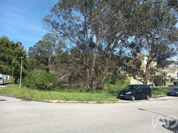 Land in Rio Maior - view 1