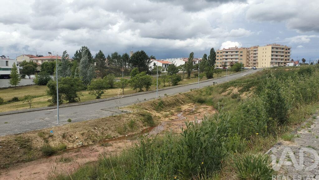 Land in Agueda