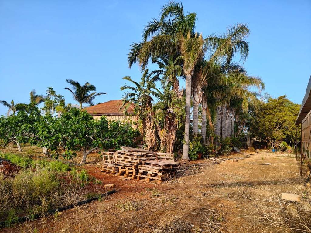 House in Ormideia