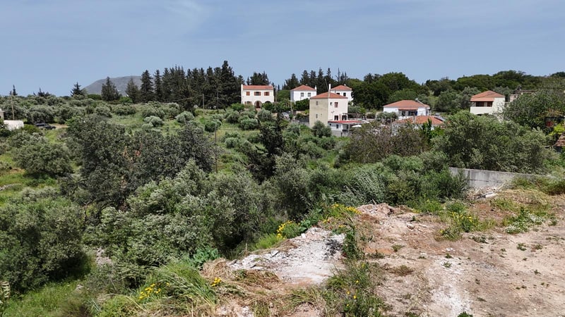 Land in Vamos - view 1