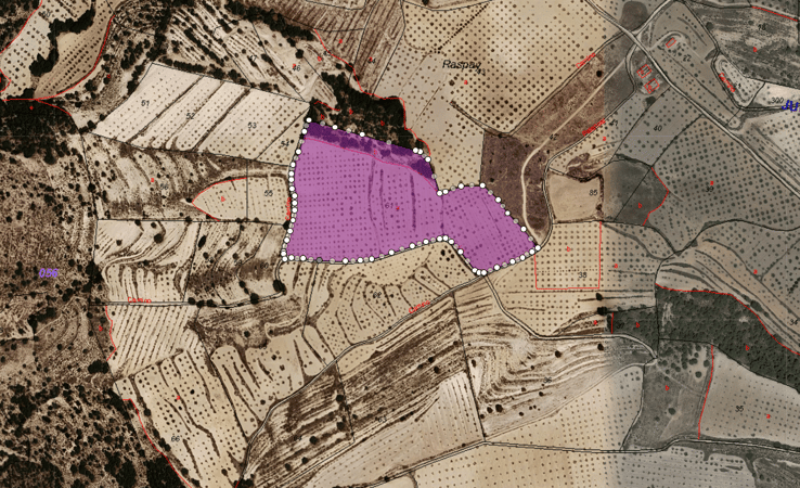 Land in Raspay - view 1