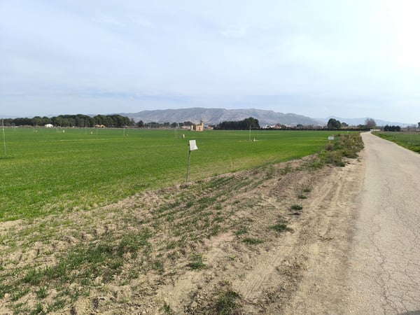 Land in Galeno - view 1