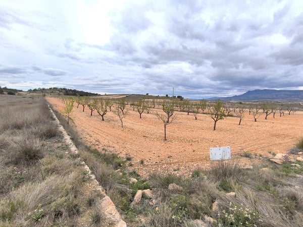 Land in Raspay - view 1