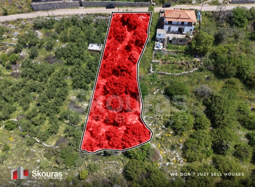 Land in Tseria - view 1