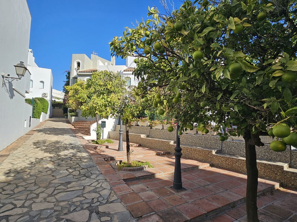 House in Nueva Andalucia - Image 2