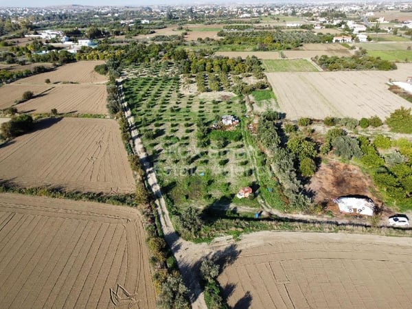 Land in Pera - view 1