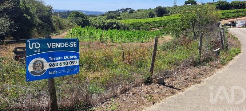 Land in Maxial - view 1