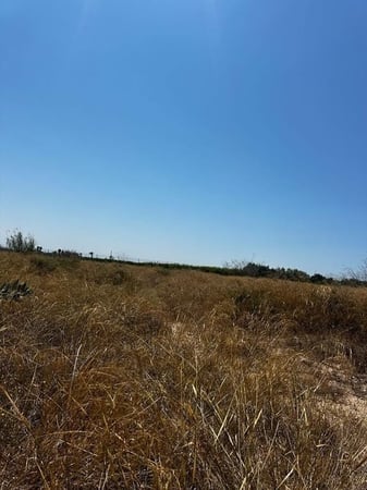 Land in Elche - view 1