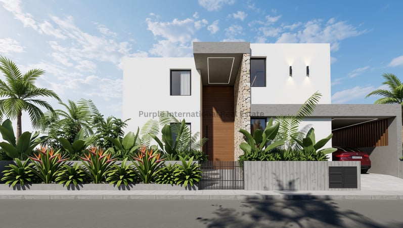 House in Chlorakas - view 1