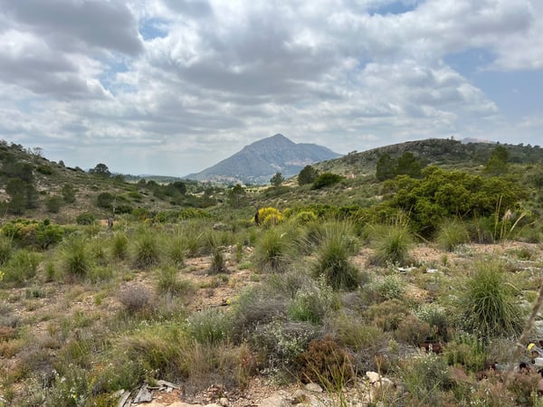 Land in La Canalosa - view 1