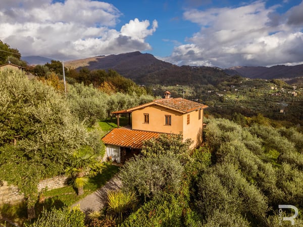 House in Pescia - view 1