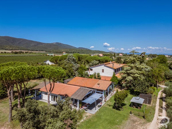 House in Grosseto - view 1