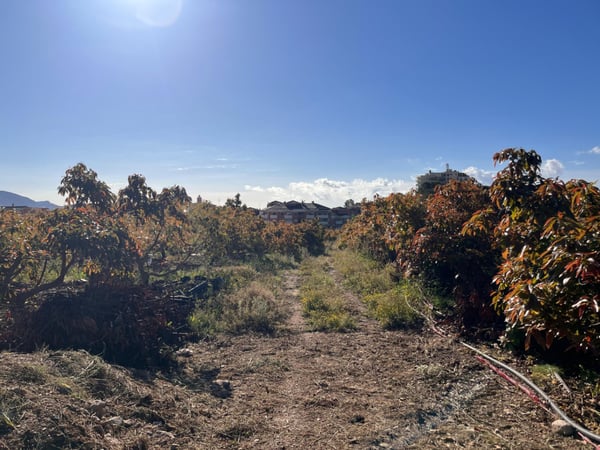 Land in Polop - view 1