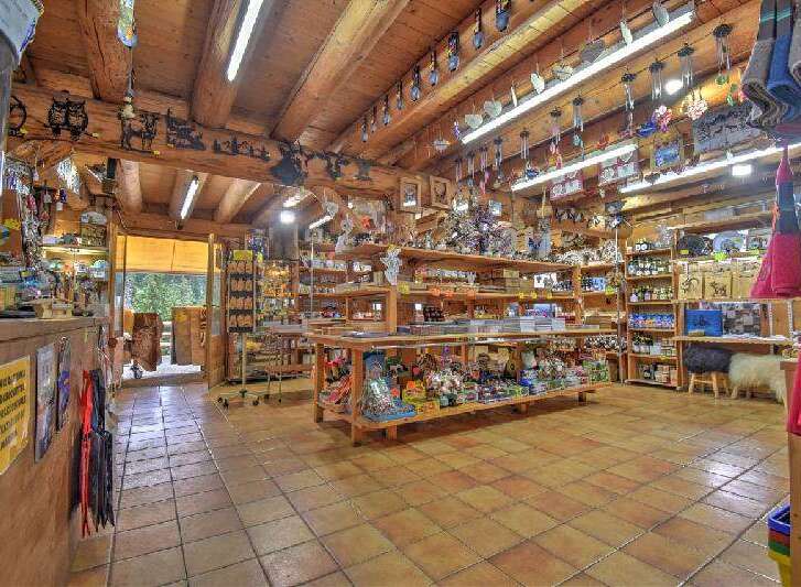 Villa in Montriond - Image 3