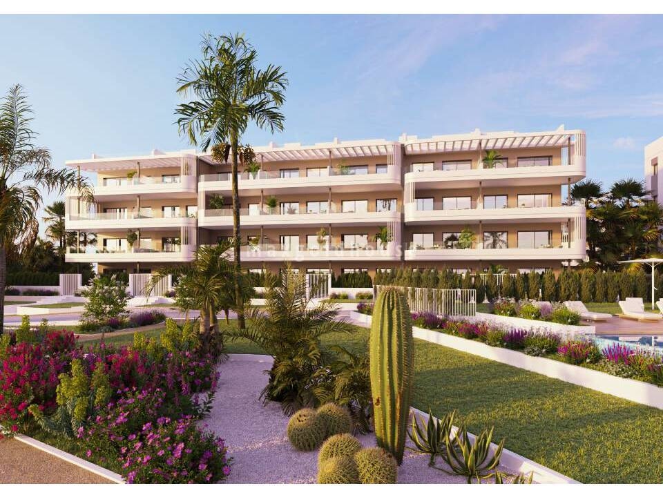 Apartment in Torrevieja - Image 2